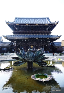 히가시 혼간지(東本願寺)를 방문한 무용수 제프 창. 거대한 연꽃분수대를 발견했어요.