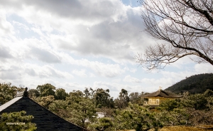 멀리서 바라본 킨카쿠지(金閣寺). (Photo by dancer Michelle Wu)