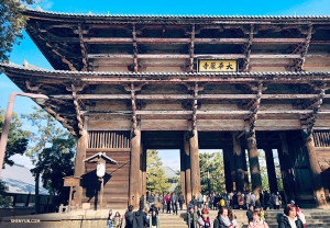 남자 무용수들은 나라시를 방문지로 정했다는군요. 사진은 토다이지(東大寺)의 모습. (Photo by dancer Steve Feng)