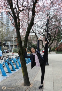 <p>수석무용수 카이디 우. 무용동작과 스카프로 꽃이 피어난 나무의 아름다움을 표현해 봤다. (Photo by dancer Cecilia Wang)</p>