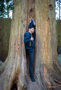 <p>무용수 차성호가 거목의 도움을 받아 스트레칭을 시도했다. 그리고 성공!</p>